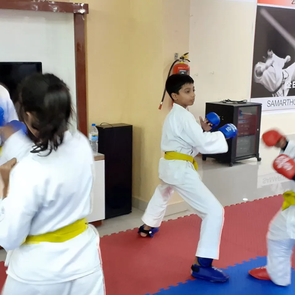 Sports Karate